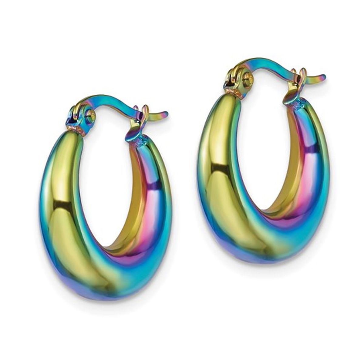 Stainless Steel Polished Rainbow Hoop Earrings product image