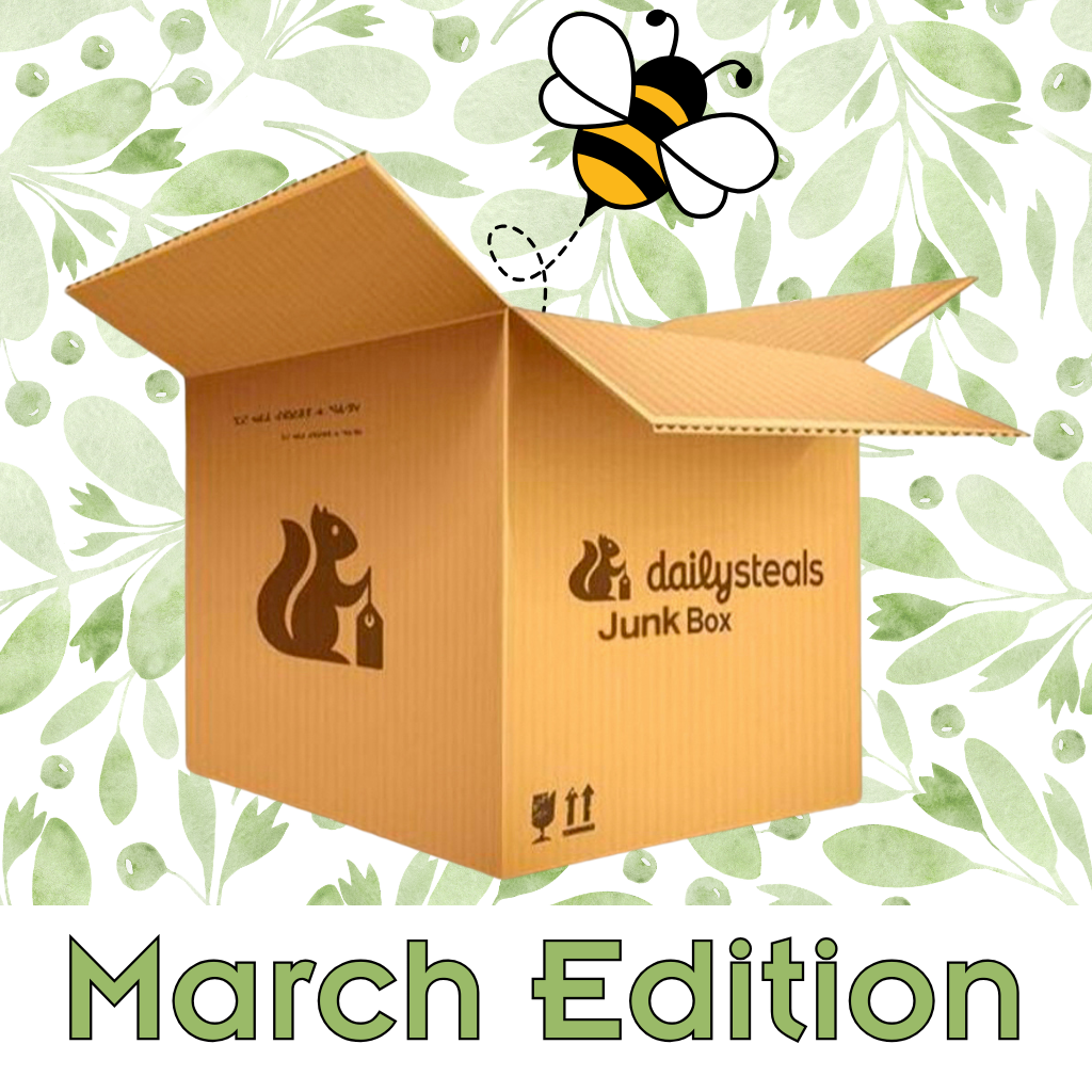 DailySteals Junk Box - March 2026 Edition product image