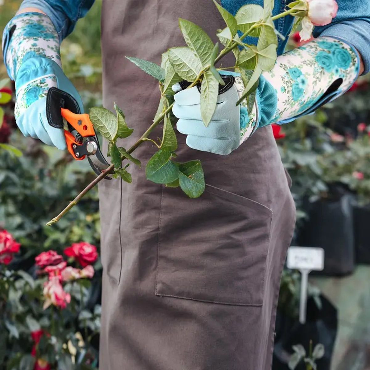 Women's Long Rose Garden Gloves product image