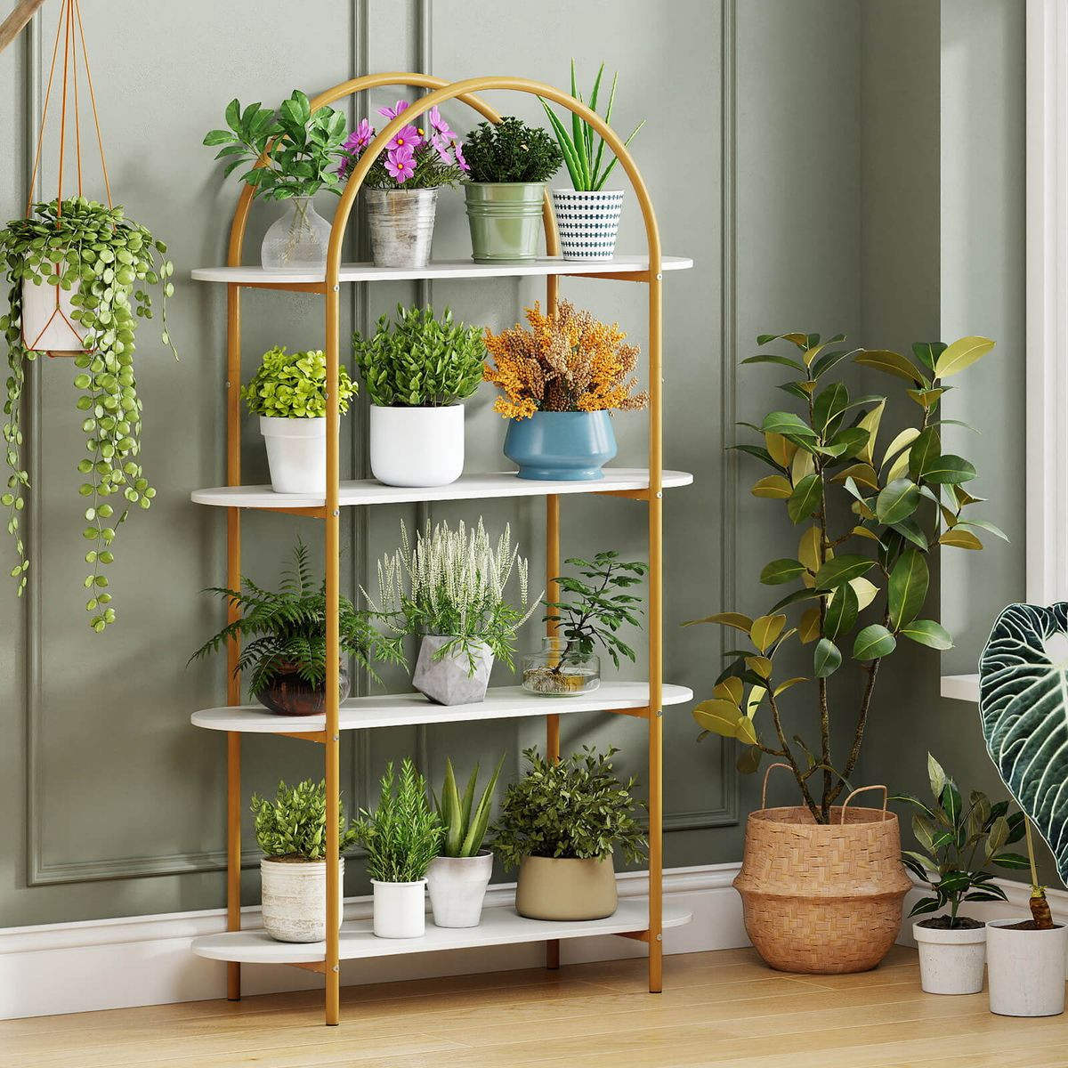 4-Tier Arched Bookshelf product image