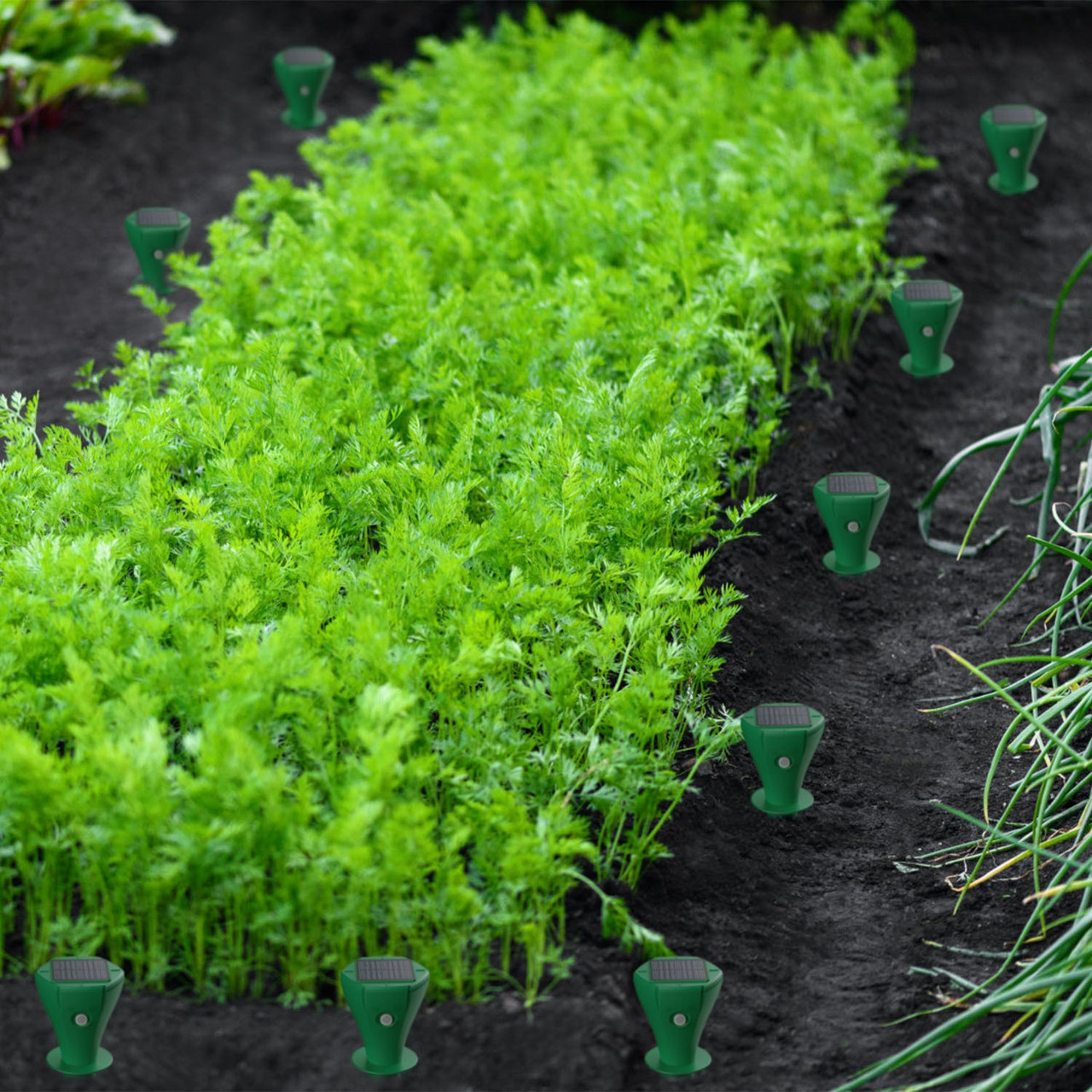 Solar Powered Mole Repellent (8-Pack) product image