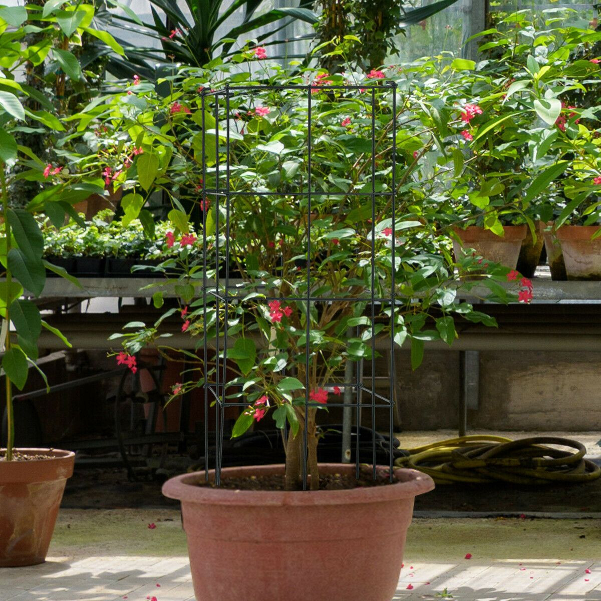 Tomato Cage / Plant Trellis (4-Pack) product image