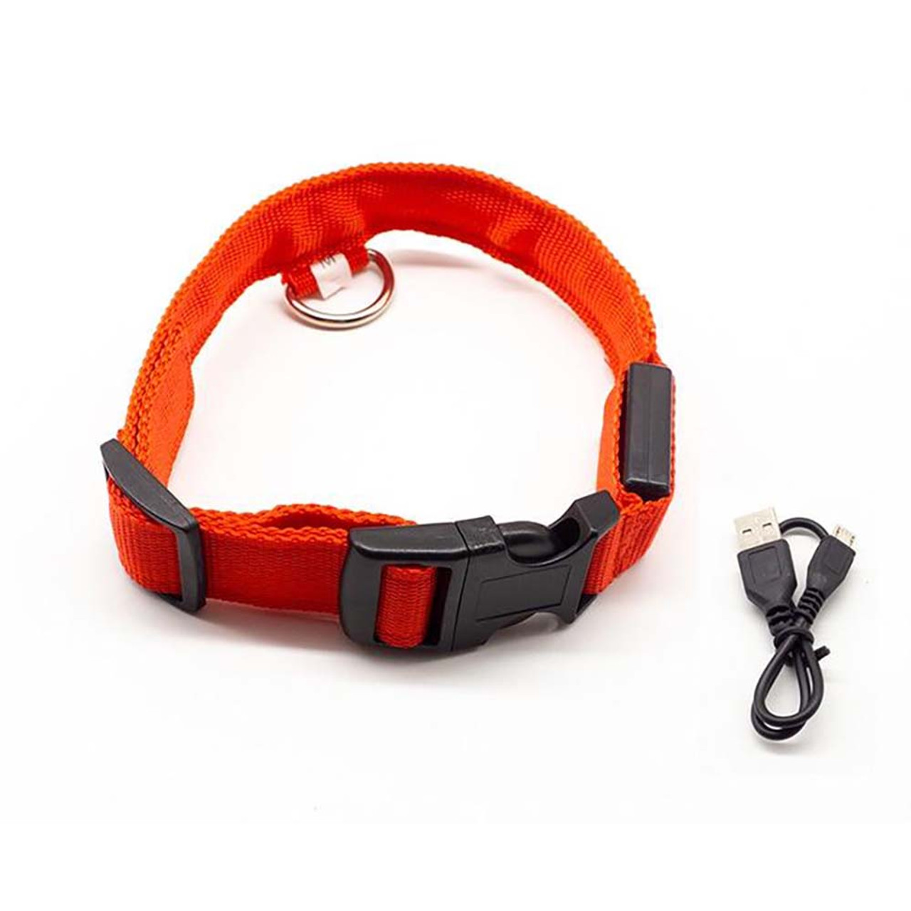 Glow-in-the-Dark Dog Collar product image