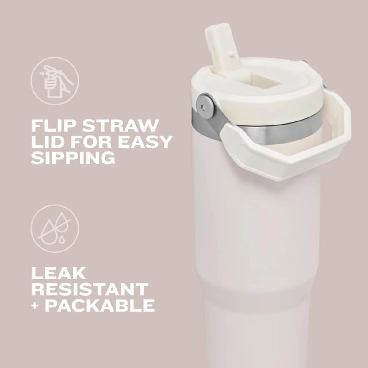 STANLEY IceFlow Flip Straw Tumbler (2-Pack) product image