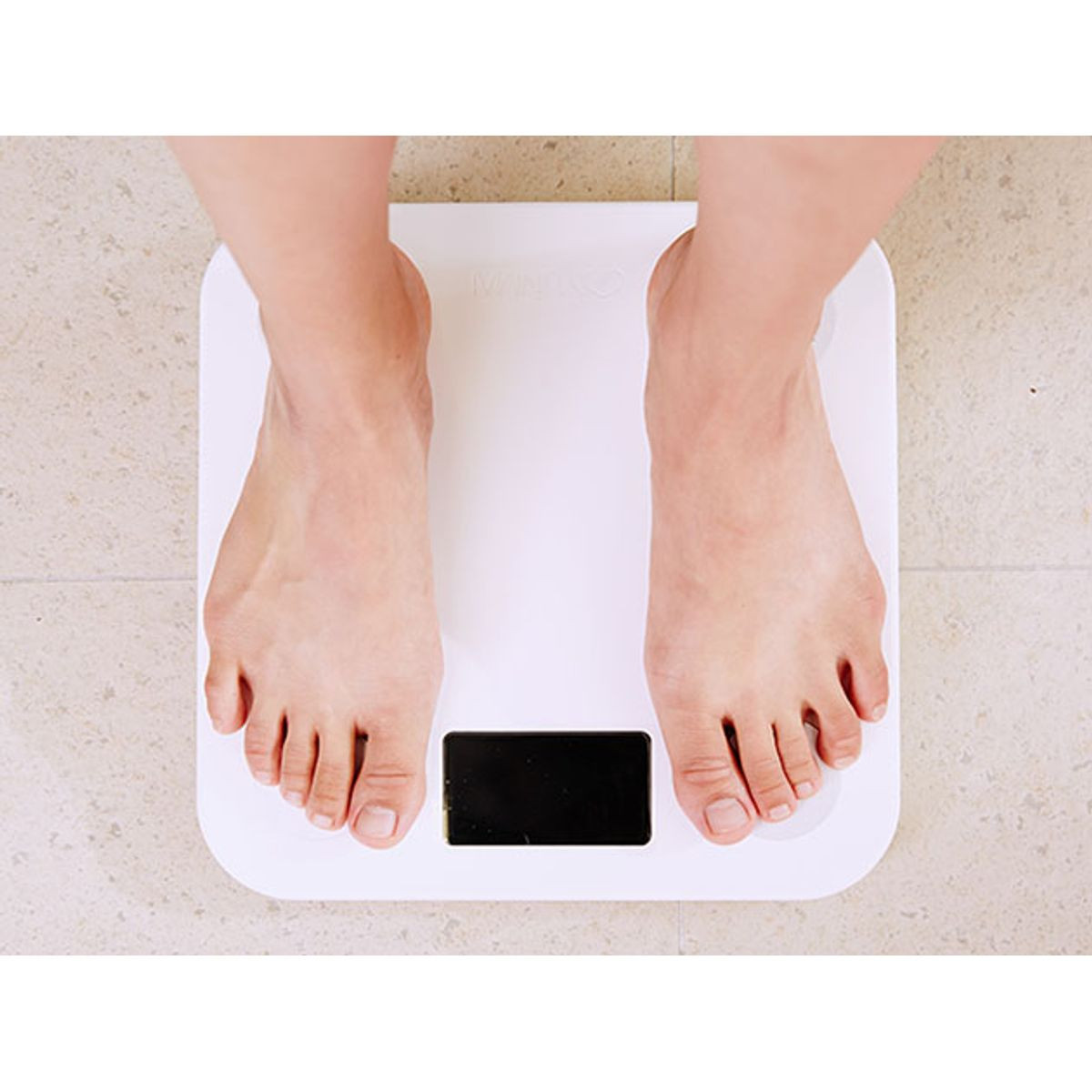 The Build Your Custom Home Workout & Nutrition Plan Bundle product image