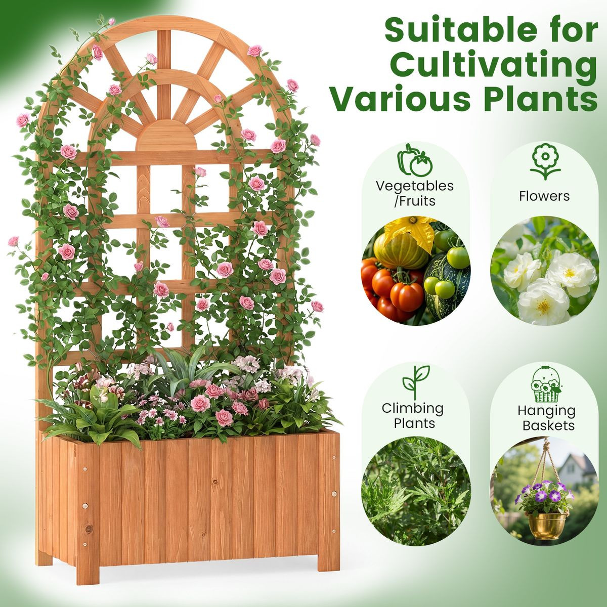 Wooden Raised Garden Bed with Trellis (1 or 2-Pack) product image