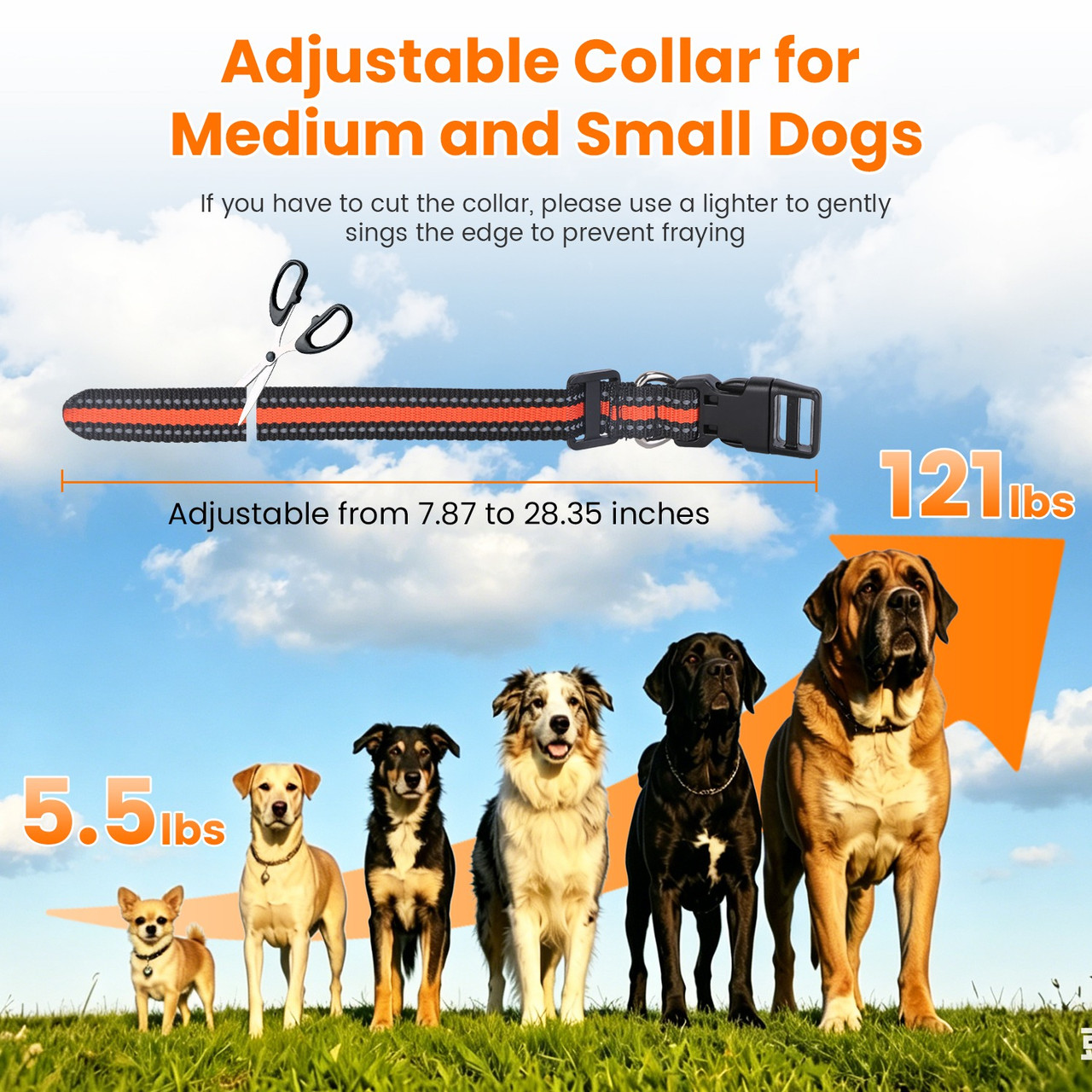 Dog Training Collar with Remote (1 or 2 Collars) product image