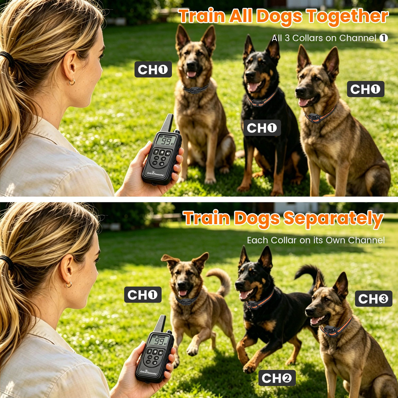 Dog Training Collar with Remote (1 or 2 Collars) product image