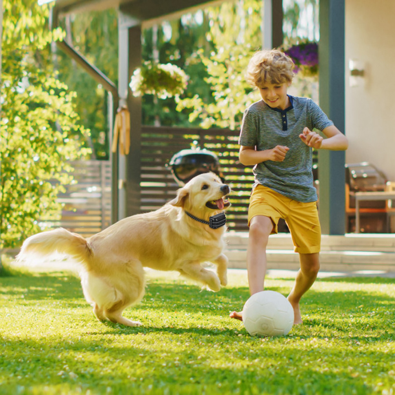 2-in-1 Wireless Dog Fence and Training System (1 or 2 Collars) product image