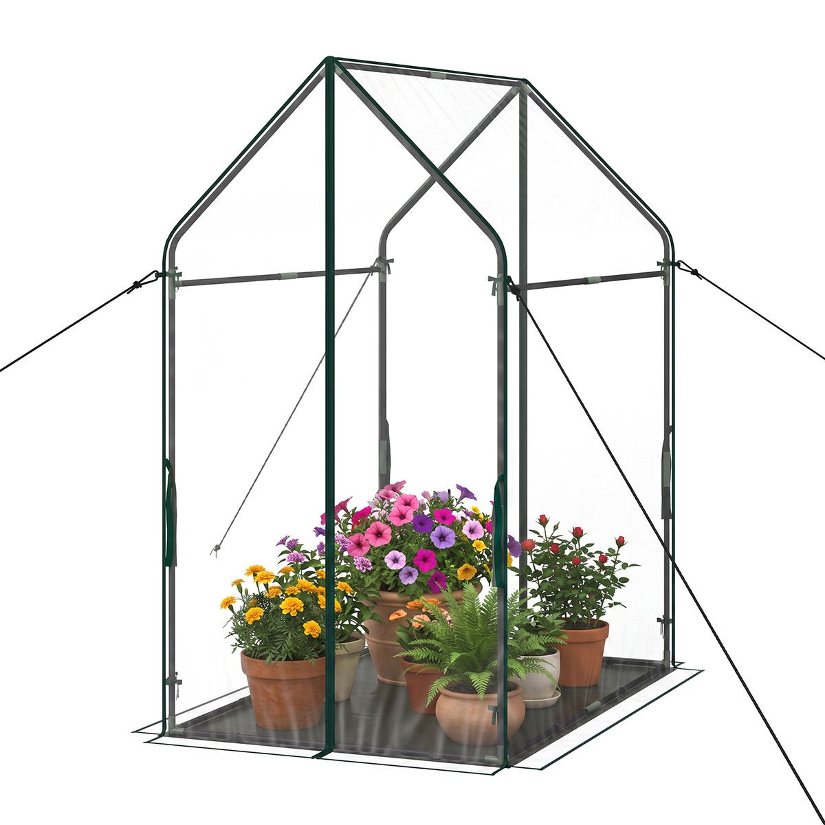 Portable Mini Green House  product image
