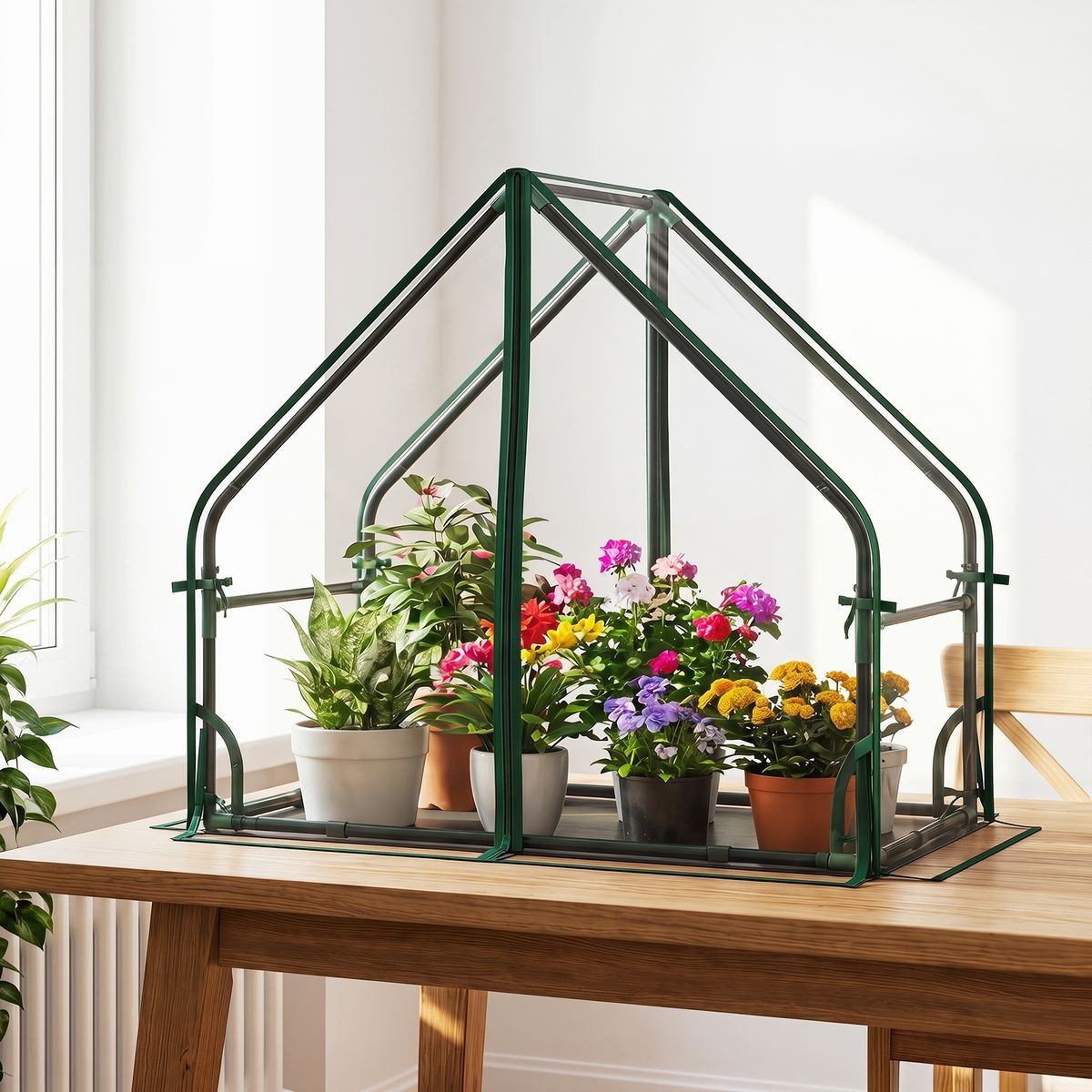 Portable Mini Green House  product image