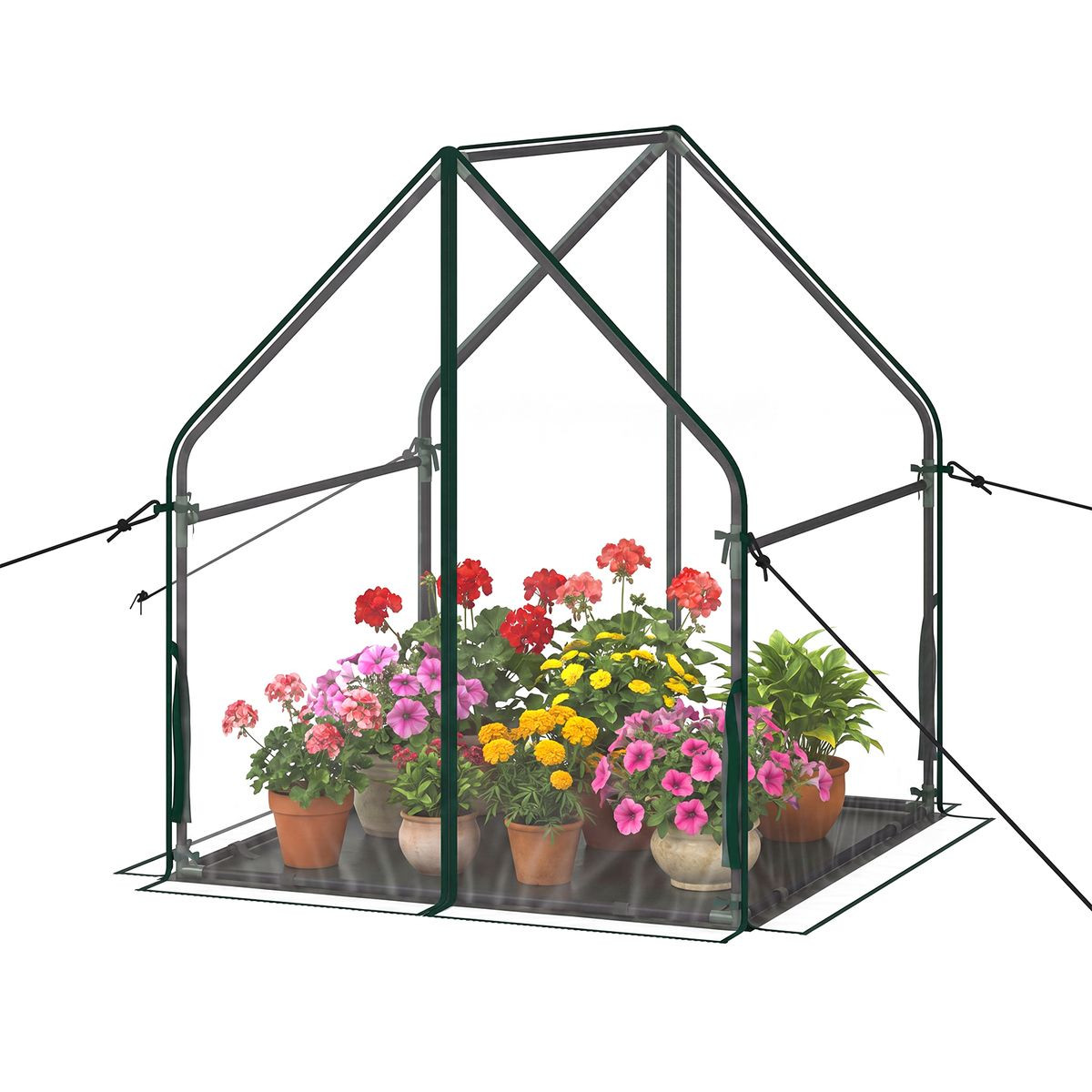 Portable Mini Green House  product image