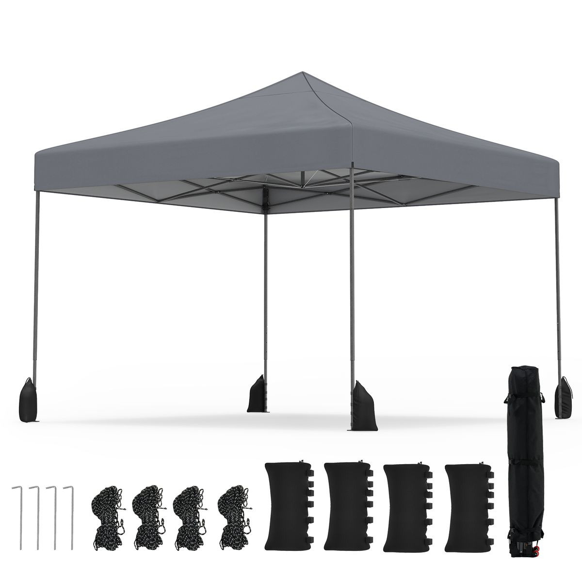 9.5x9.5-foot Pop up Canopy Tent product image