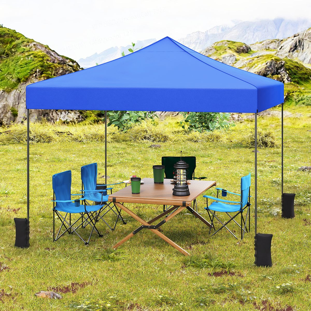 9.5x9.5-foot Pop up Canopy Tent product image