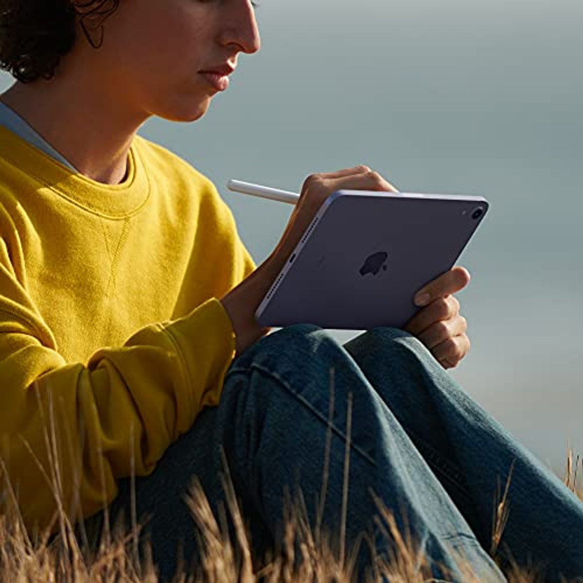 Apple iPad Mini (Wi-Fi, 64GB) Starlight product image