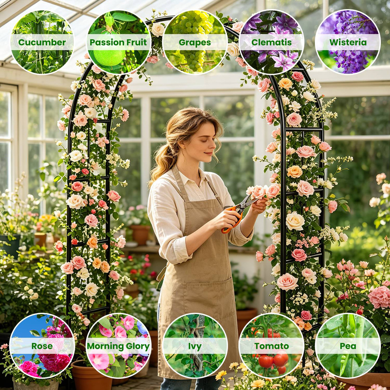 Adjustable Metal Garden Arch (1- or 2-Pack) product image