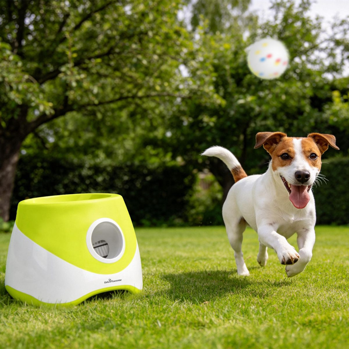 Automatic Ball Launcher product image