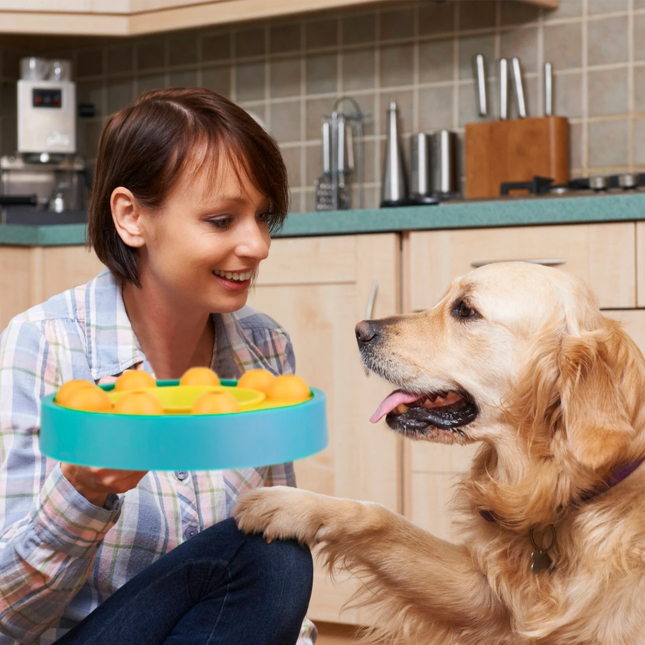 Interactive Dog Food Puzzle Feeder product image