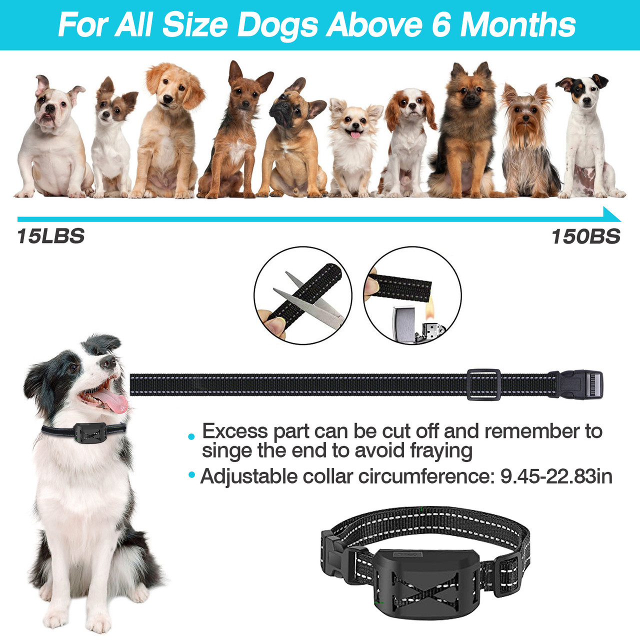 Wireless Dog Fence and Training Collar product image