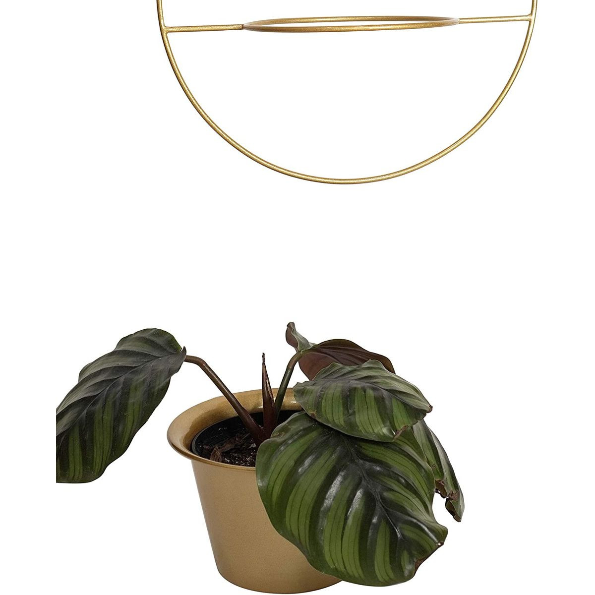 6" Hanging Pot Wall Planters  product image