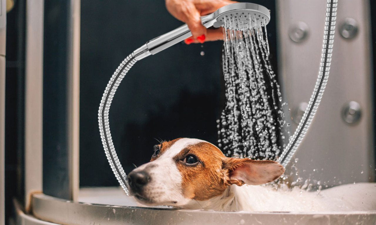 Bathroom Faucet with Detachable Head product image