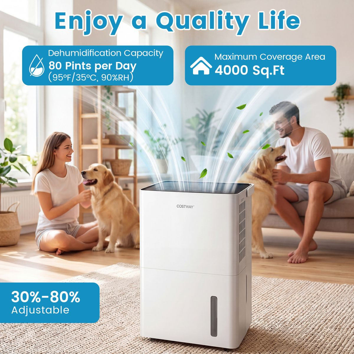 Portable Dehumidifier product image