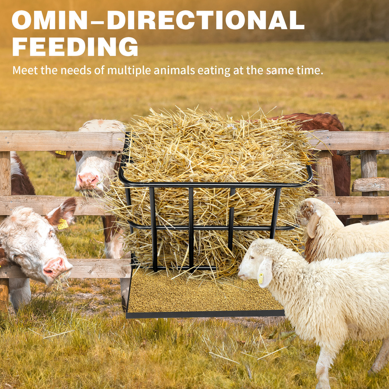2-in-1 Steel Hay Rack  product image