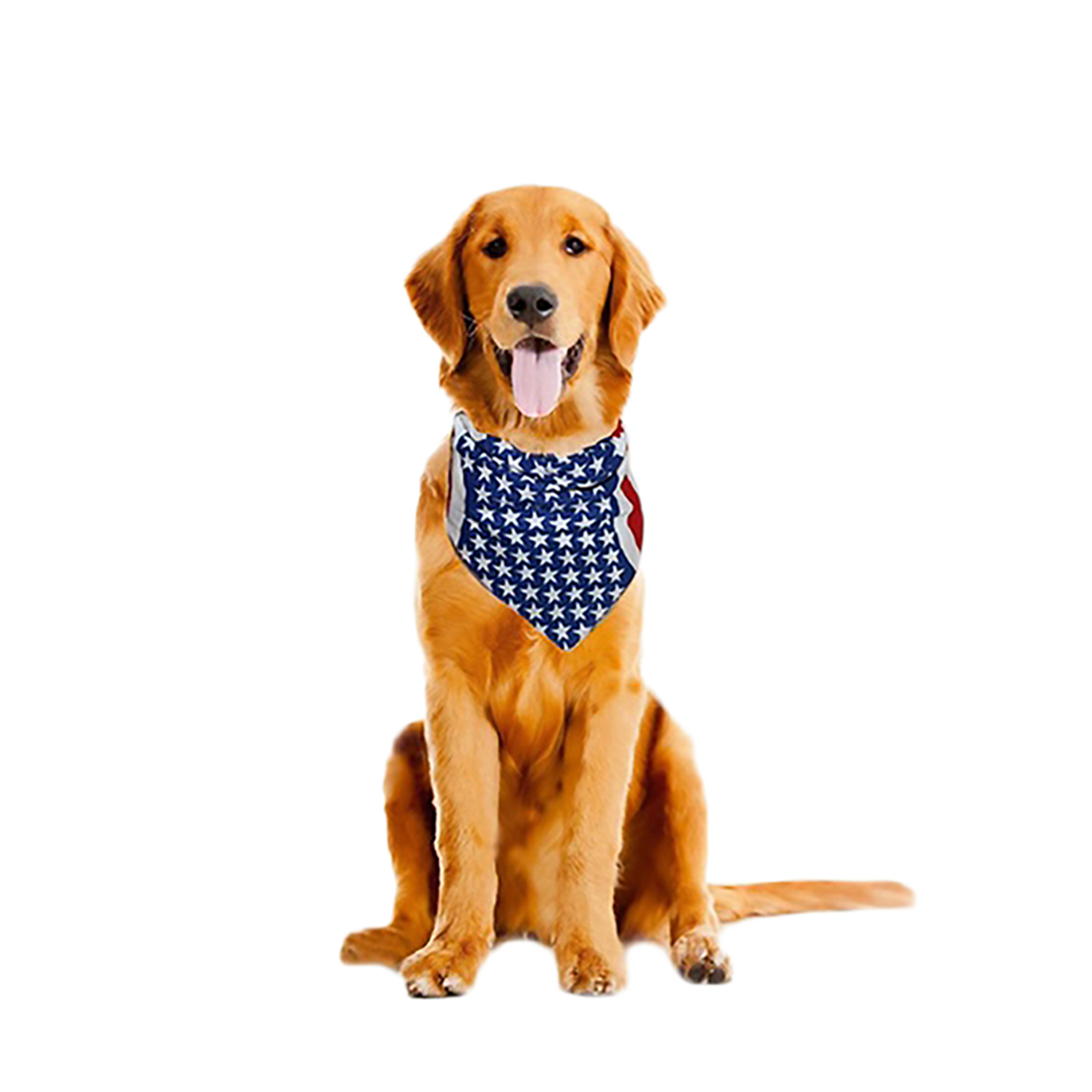 American Flag Bandana for Pets (2-Pack)  product image