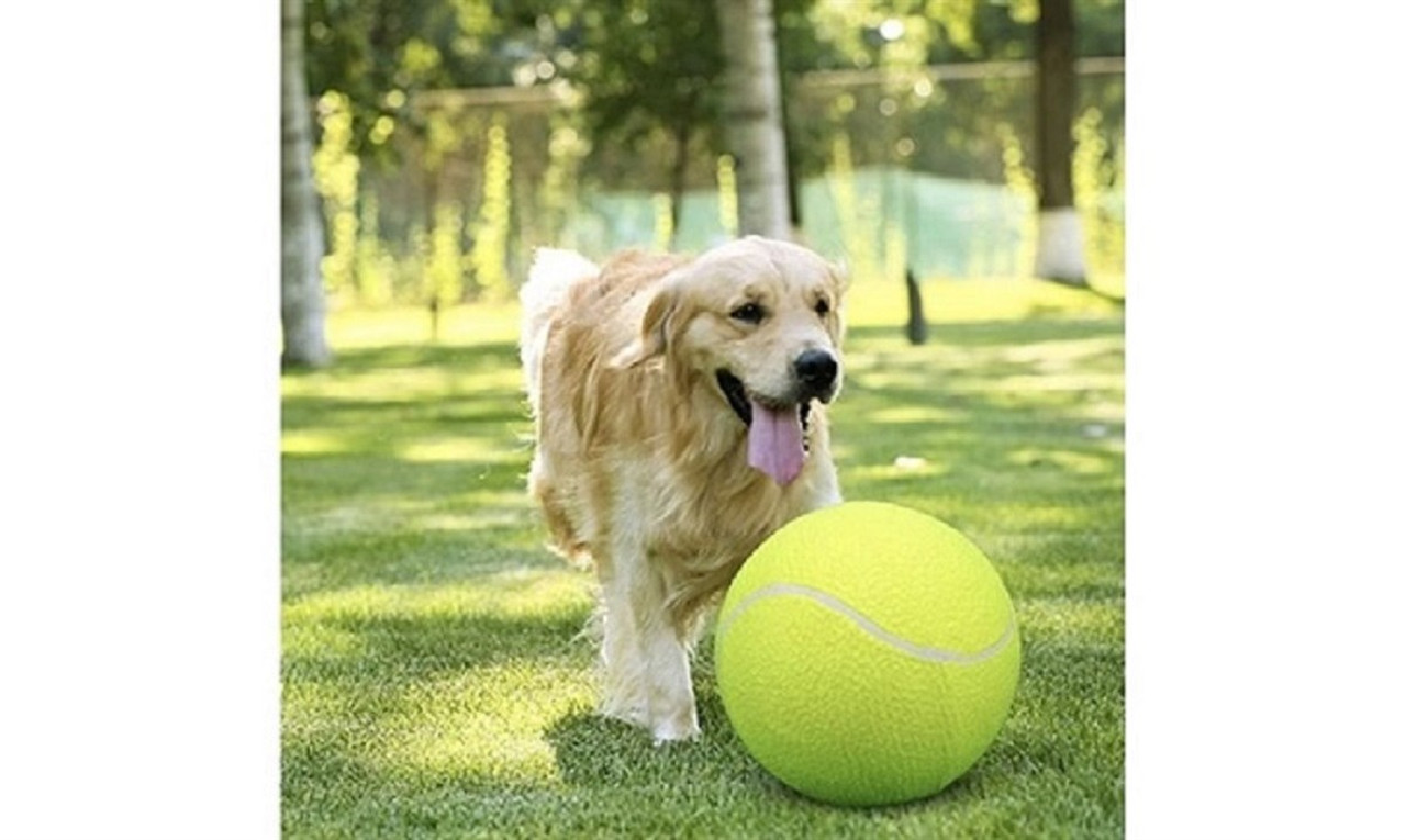 Super Jumbo 9.5-Inch Tennis Ball with Hand Pump product image