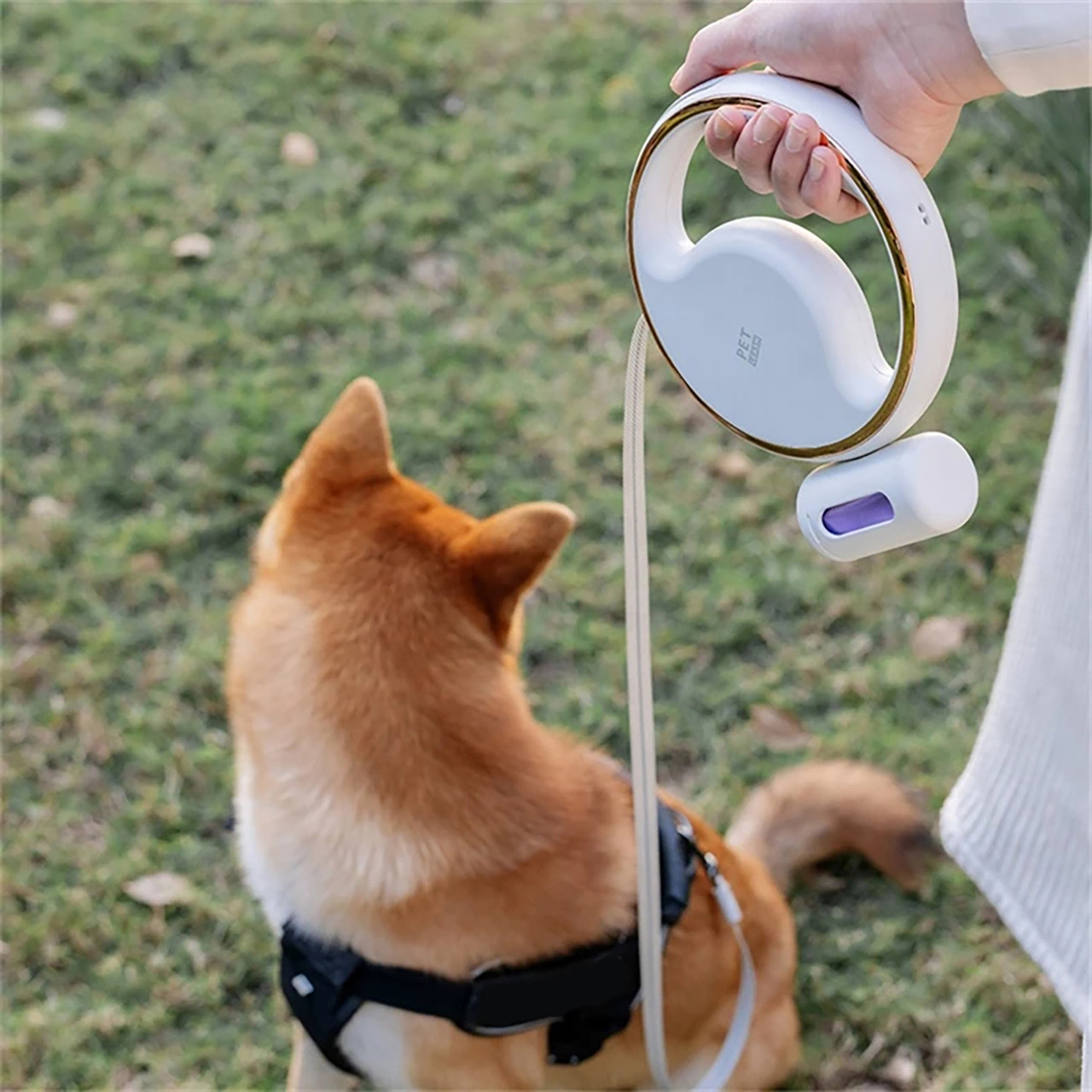 PET (Pooch Excursion Trainer) Leash product image