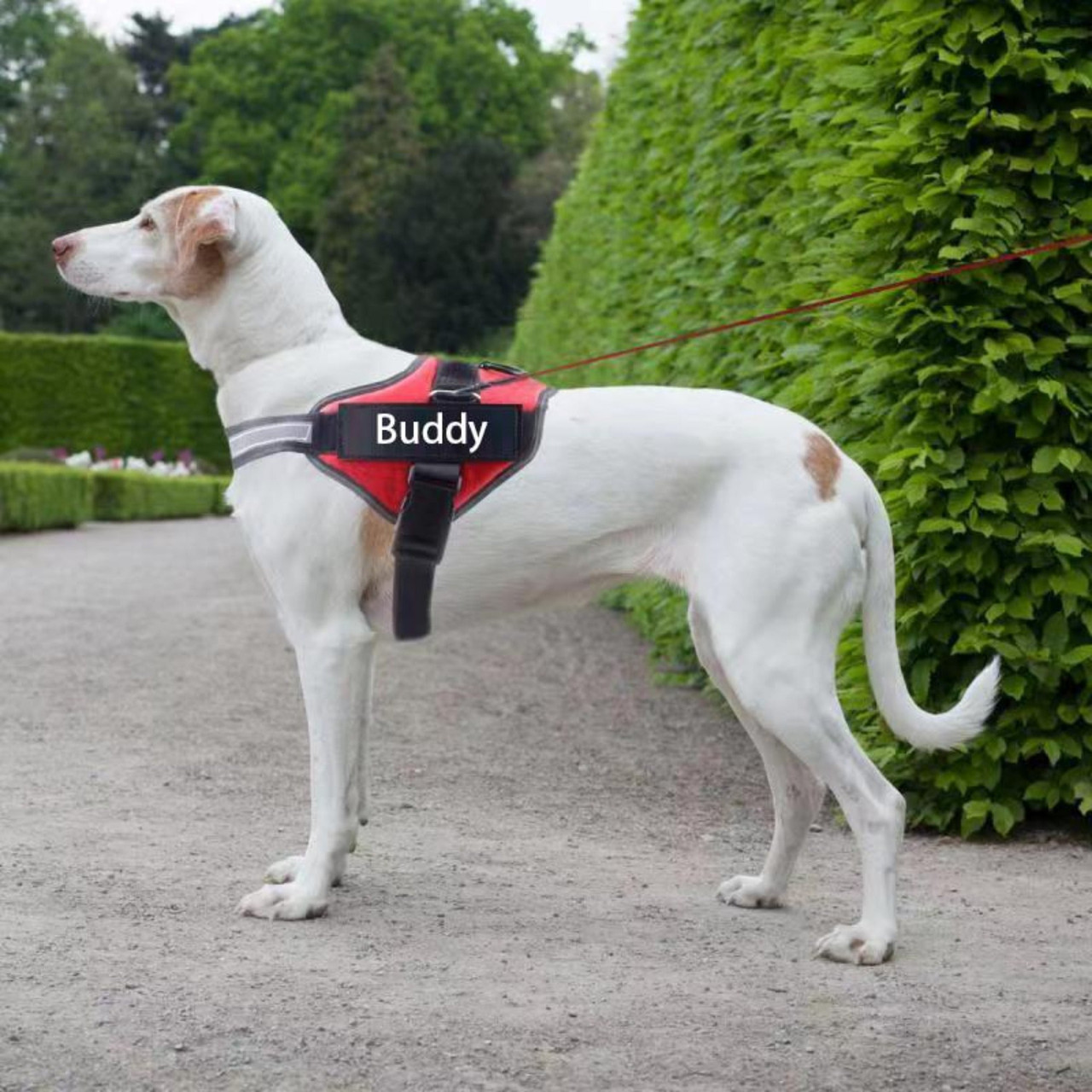 Personalized Reflective Pet Harness product image