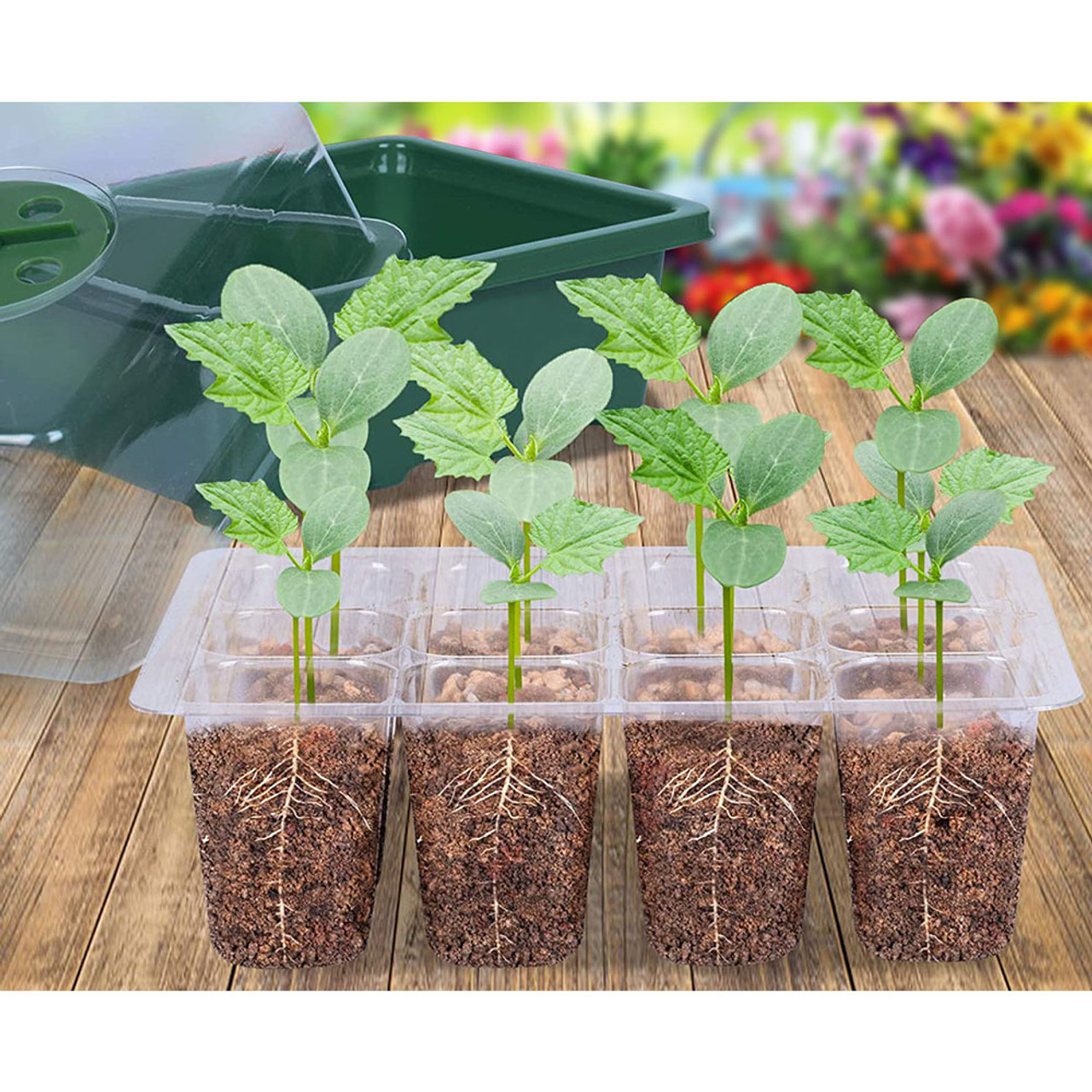 10-Piece Seed Starter Seedling Tray Kit product image