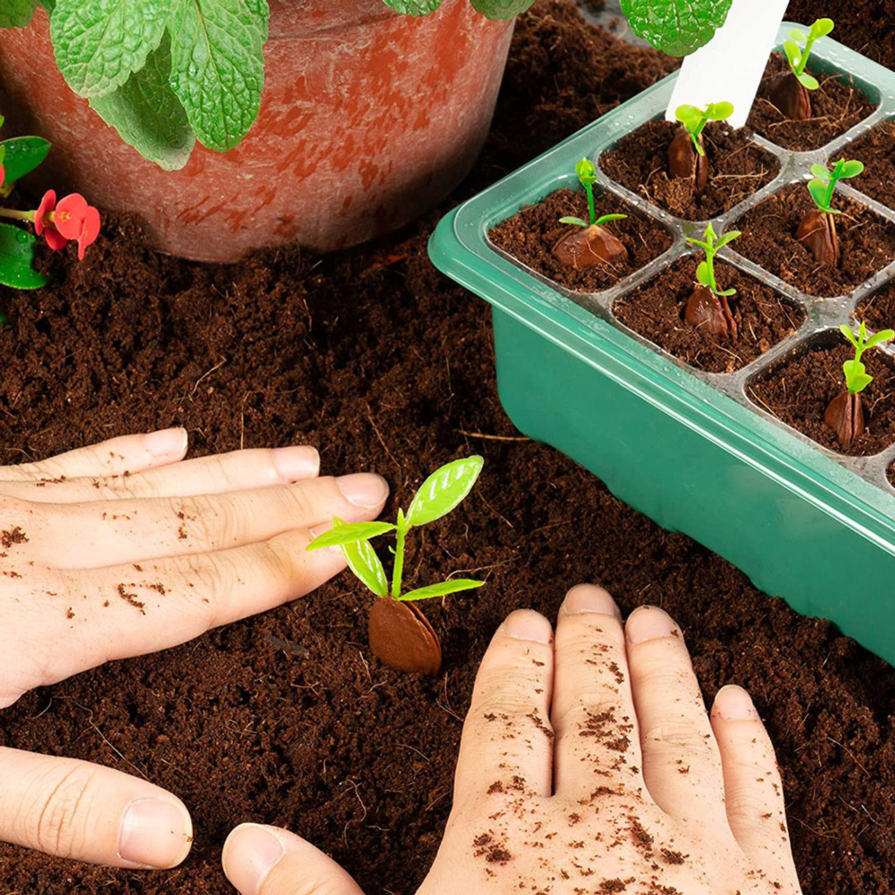 10-Piece Seed Starter Seedling Tray Kit product image