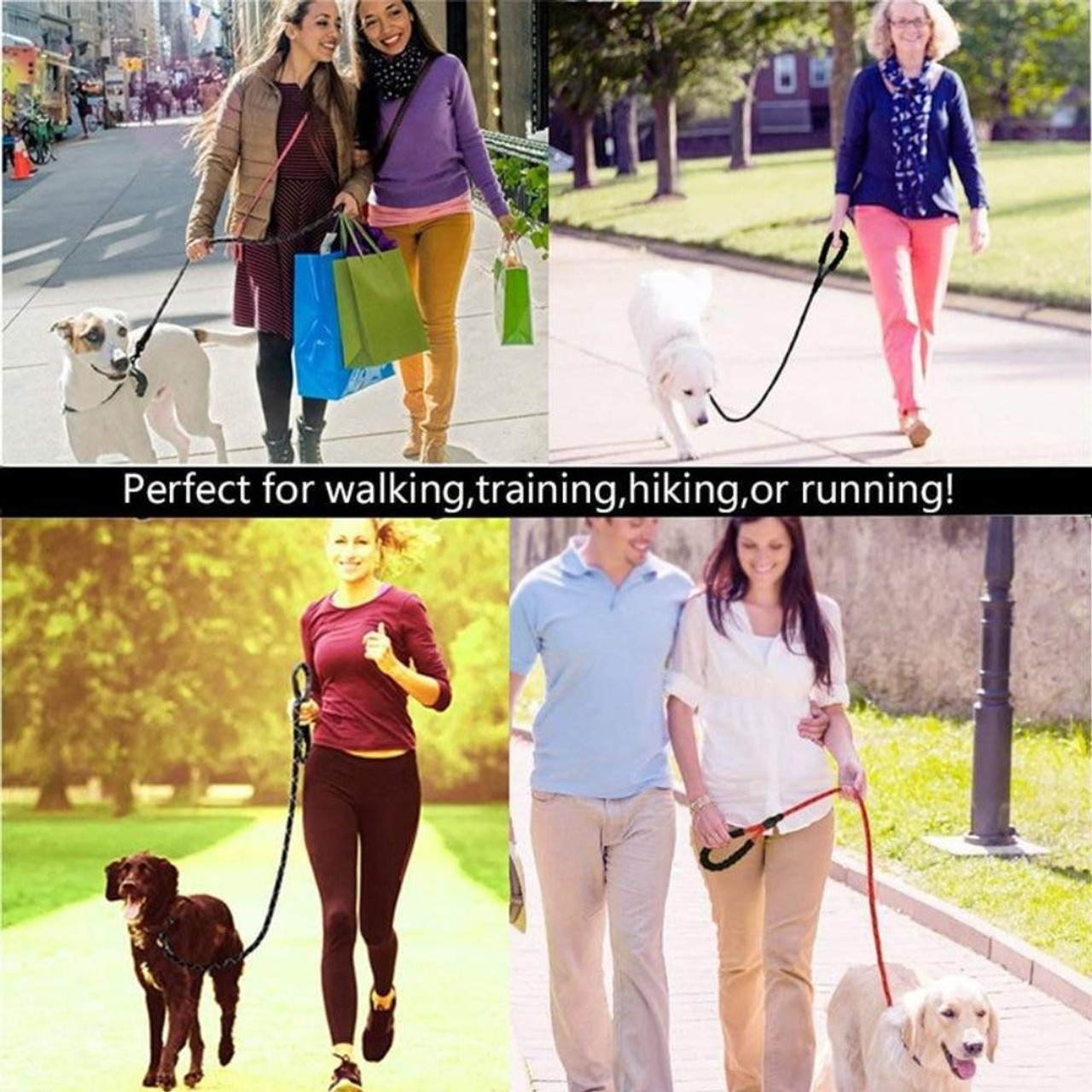 Reflective Dog Leash with Poop Bag Dispenser (1- or 2-Pack) product image