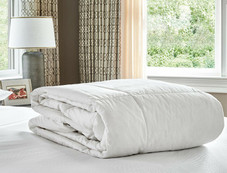 Goose Down & Feather 100% Cotton Comforter product image