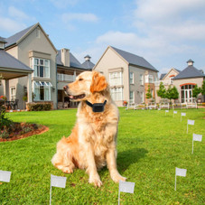PetLuv™ Electric Dog Fence System product image