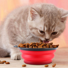 PetLuv™ 4-Piece Silicone Collapsible Pet Bowls product image