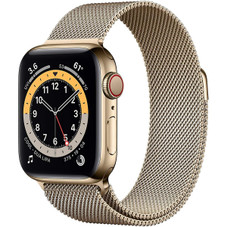 Apple® Watch Series 6, 4G LTE + GPS, 40mm – Gold Stainless Steel Case product image