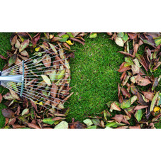 LakeForest® Adjustable Garden Leaf Rake product image