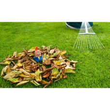 LakeForest® Adjustable Garden Leaf Rake product image