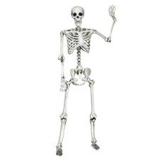 5.4-Foot Halloween Life-Size Full-Body Hanging Skeleton product image
