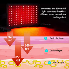 iMounTEK® Red Light Therapy Belt product image