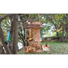 iMounTEK® Solar Bird Feeder product image