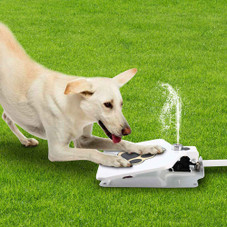Step-Activated Water Fountain for Pets product image