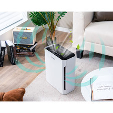 H13 True HEPA Air Purifier with Adjustable Speeds product image