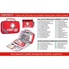 258-Piece First Aid Kit with Eyewash, Cold Pack, Moleskin Pad & Emergency Blanket product image
