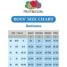 Fruit of the Loom® Boys' Seamless Comfort Boxer Briefs, 4 ct. (2-Pack) product image