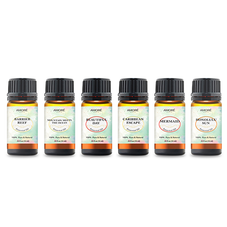 Premium Fragrance Aromatherapy Essential Oils (Set of 6) product image