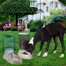 Zone Tech Self-Dispensing Pet Feeder and Water Dispenser product image