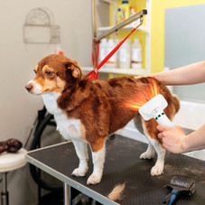 iMounTEK® Pet Grooming Hair Dryer product image